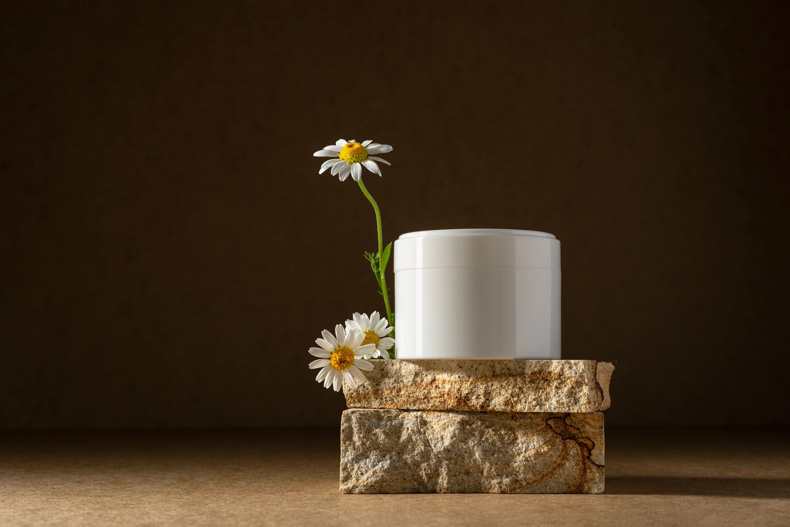 White cosmetic jar mockup with chamomile flowers on natural stone