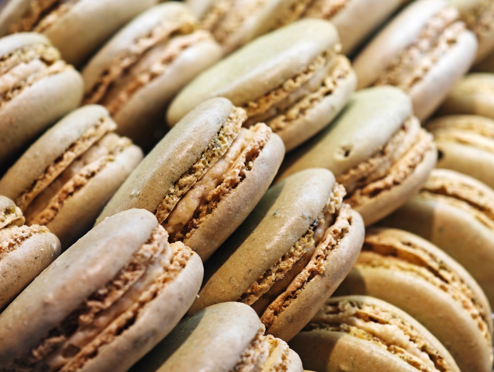 Close-up rows of beige macarons